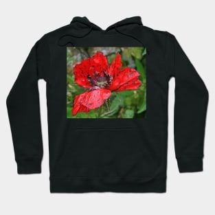 Speckled Poppy Hoodie